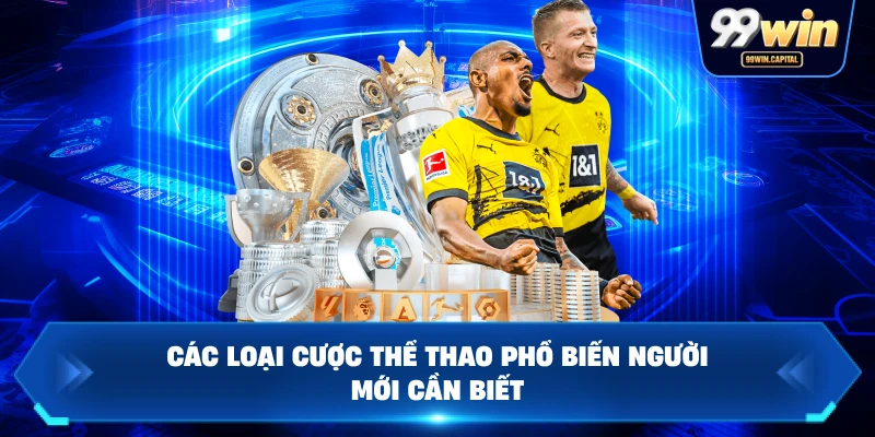 Các Loại Cược Thể Thao Phổ Biến Người Mới Cần Biết